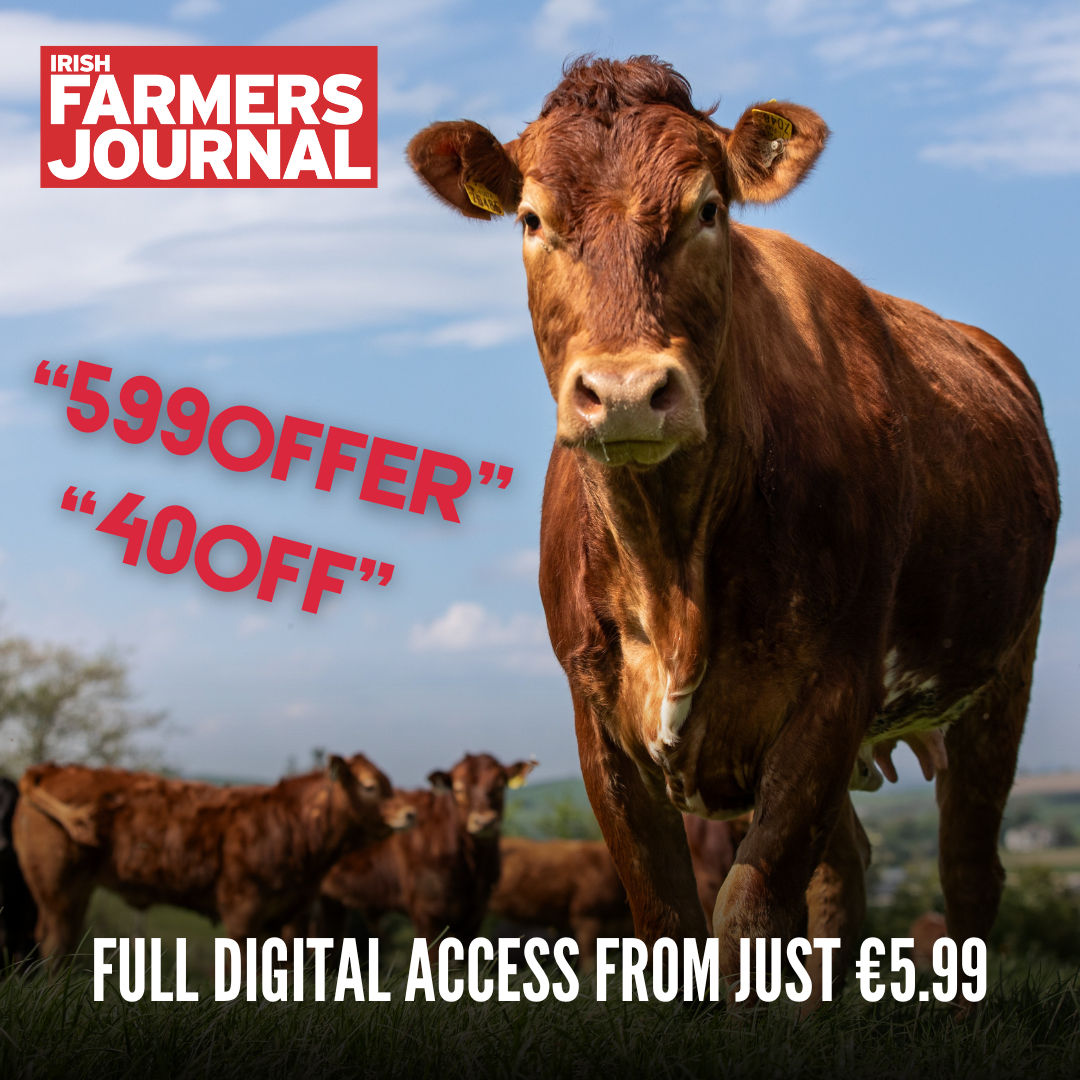 Full Digital Access from Just €5.99 (2)