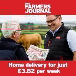 HD_FLR_250SQ HD_FLR_250SQ