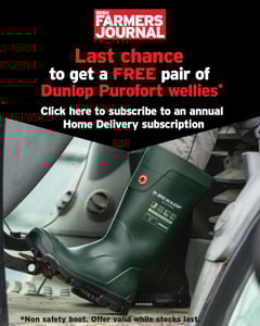 LC_Wellies_1080x1350