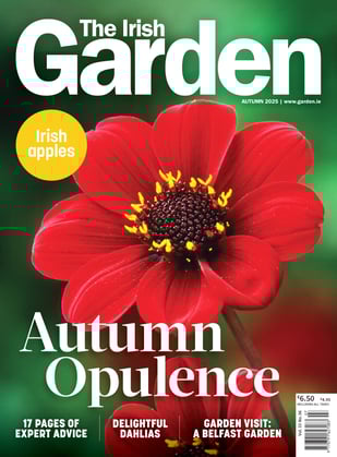TIG_Cover_Autumn2025 1