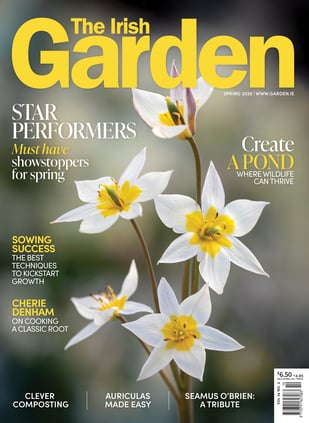 TIG__Cover_Spring_2026