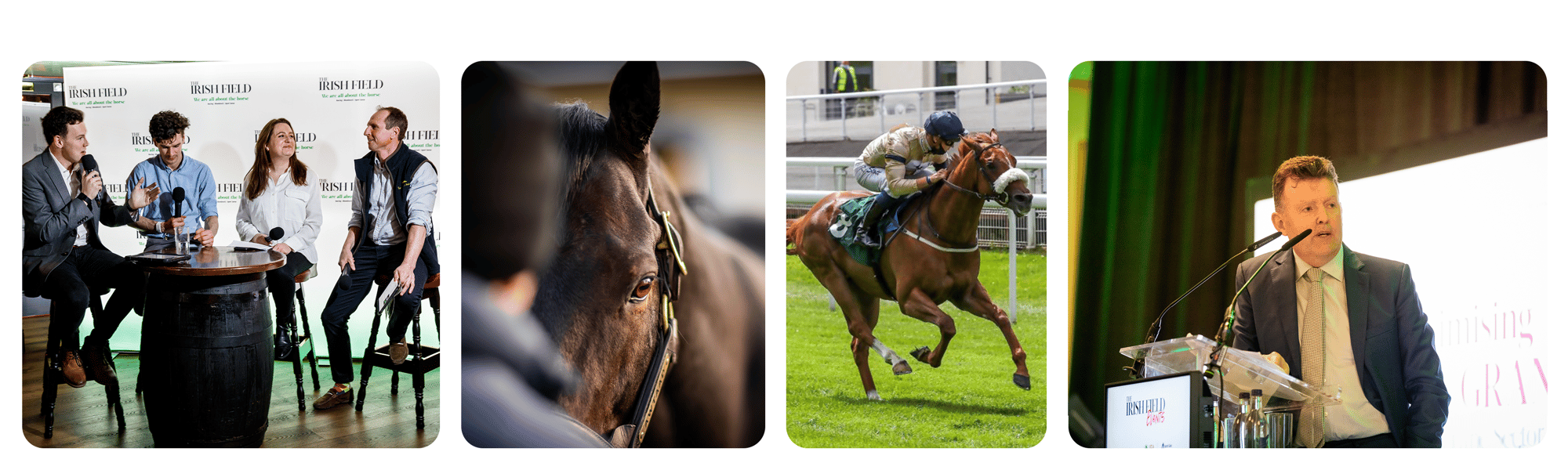 banner for TIFsupport